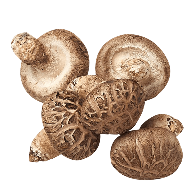 Fresh Shitake Mushroom Hem Hom 100g