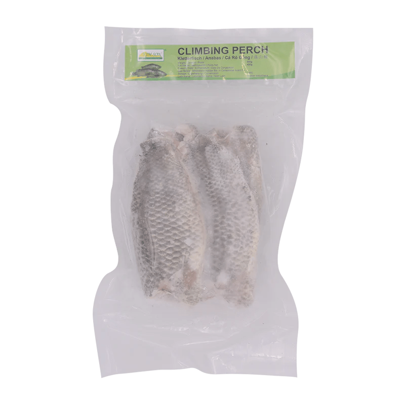 Gray KIM SON Climbing Perch Cá rô đồng