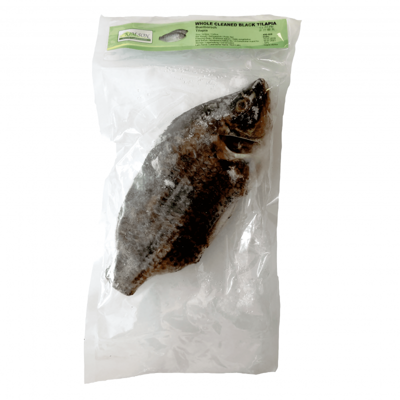 Frozen KIM SON Whole Cleaned Black Tilapia 600g-800g