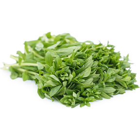 Olive Drab Fresh Rice Paddy Herb/ Ngò Ôm 100g