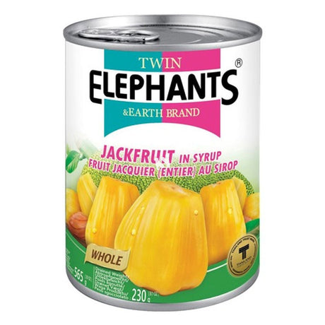 Light Gray TWIN ELEPHANTS Jackfruit In Syrup (Whole) 565g