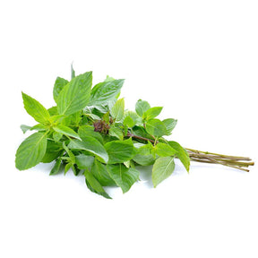 Olive Drab Fresh Sweet Basil/ rau húng quế 100g