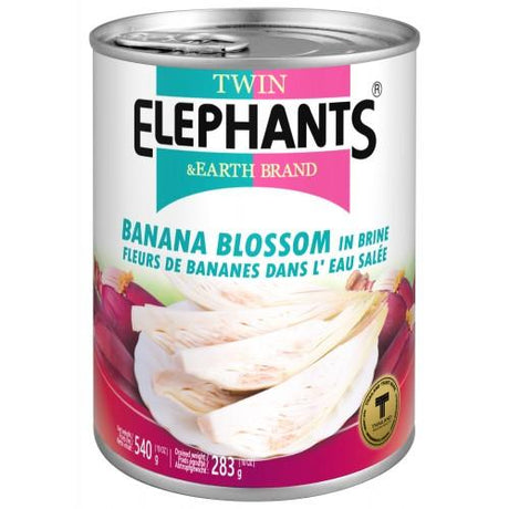 Light Gray TWIN ELEPHANTS Banana Blossom In Brine (Slices) 540g