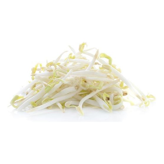 Antique White Fresh Mung Bean Sprout