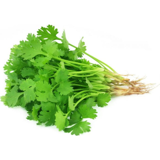 Olive Drab Fresh Coriander/ Ngo Ri 100g