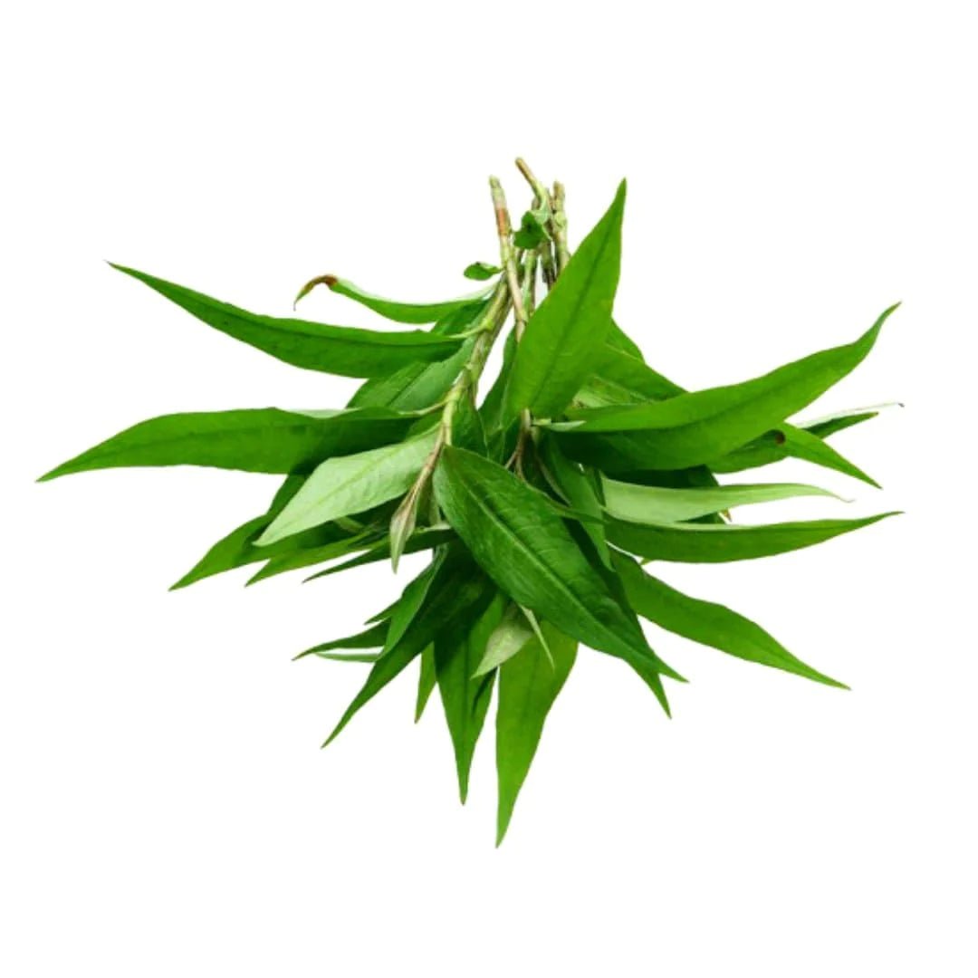 Fresh Vietnamese Coriander/Rau Ram 100g – HuongViet Asian Supermarket